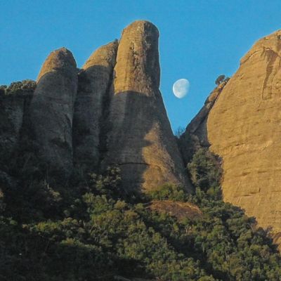 ButlletiSantuari107-header