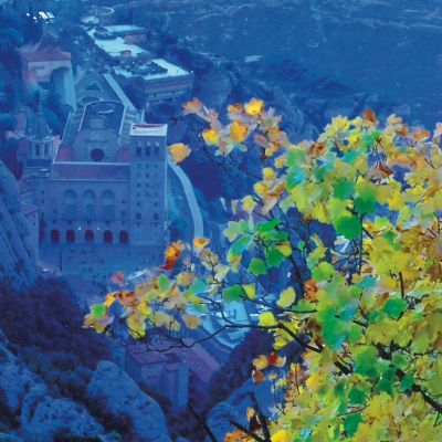 ButlletiSantuari108-header