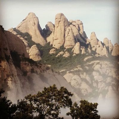 tARDOR A mONTSERRAT pETIT