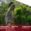 15 de juny 2025 Santa Maria Miquela del Santíssim Sagrament, sant Guiu  i  el profeta Amós